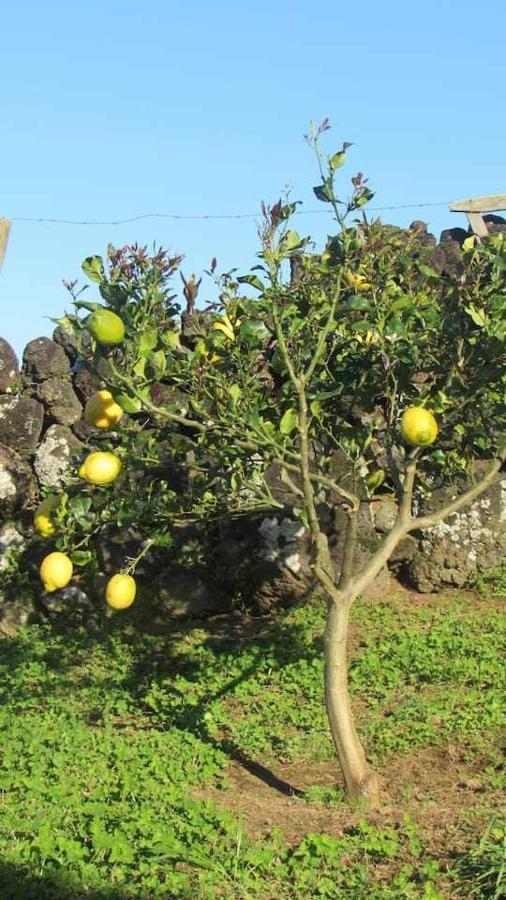 Villa Casa Da Arquinha Santo Amaro  Esterno foto